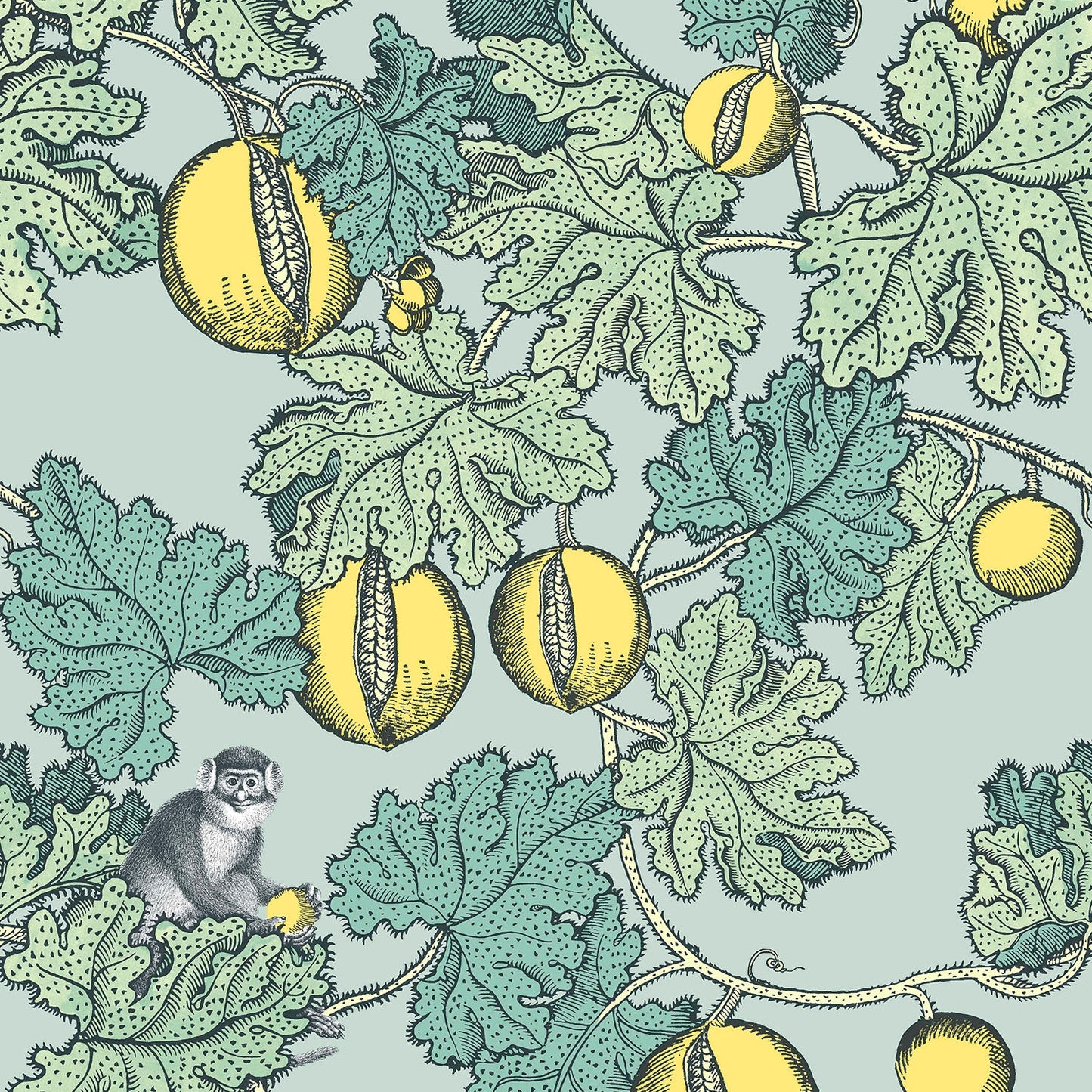 FRUTTO PROIBITO - COLE & SON