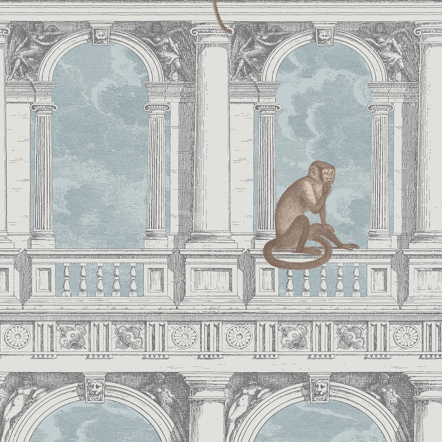 PROCURATIE CON VISTA - COLE & SON