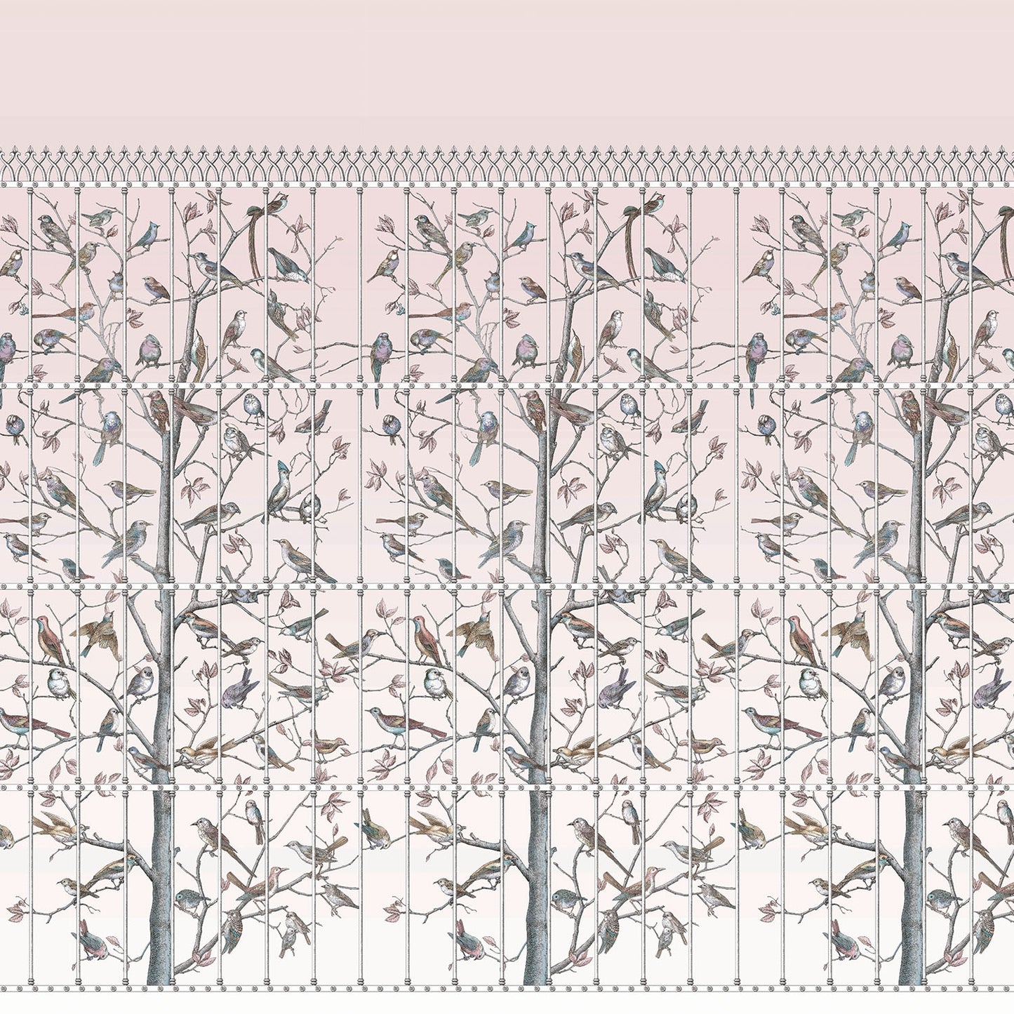 UCCELLI - COLE & SON