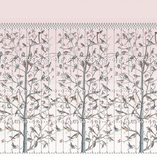 UCCELLI - COLE & SON