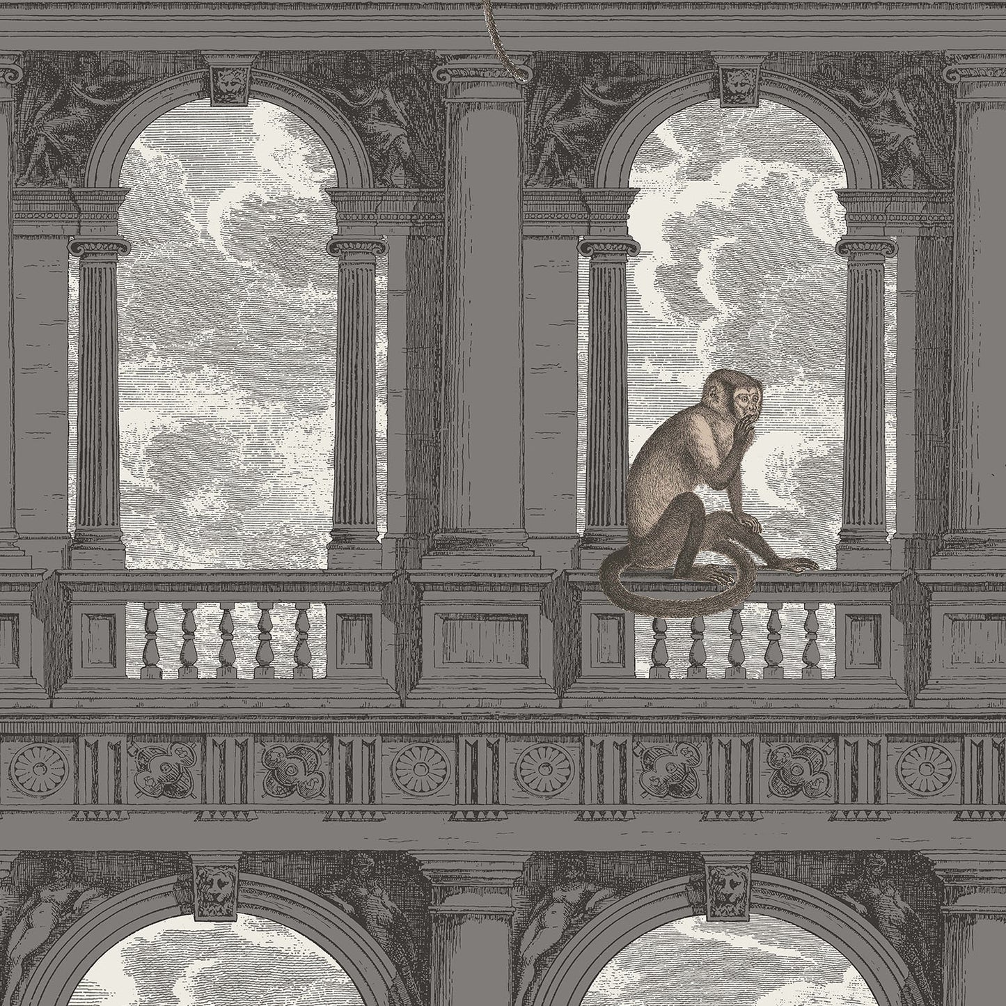 PROCURATIE E SCIMMIE - COLE & SON