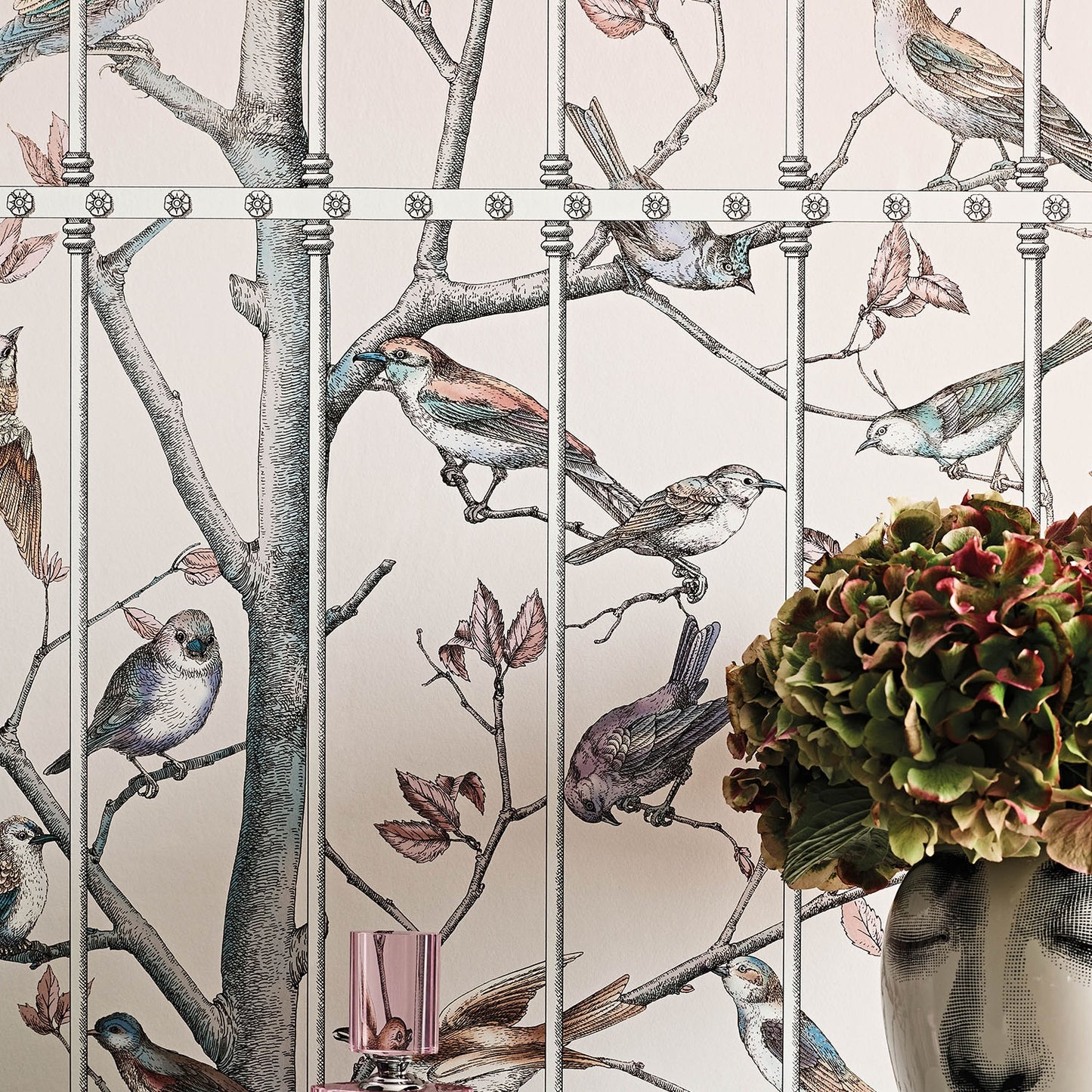 UCCELLI - COLE & SON