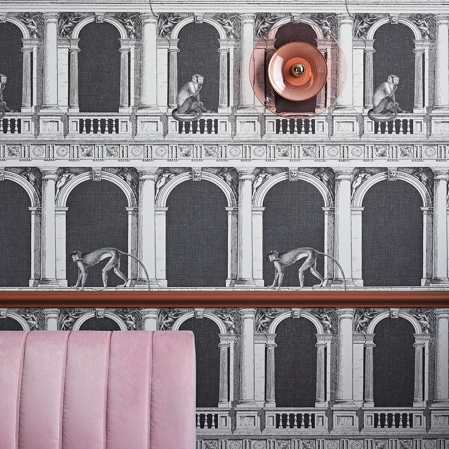 PROCURATIE E SCIMMIE - COLE & SON