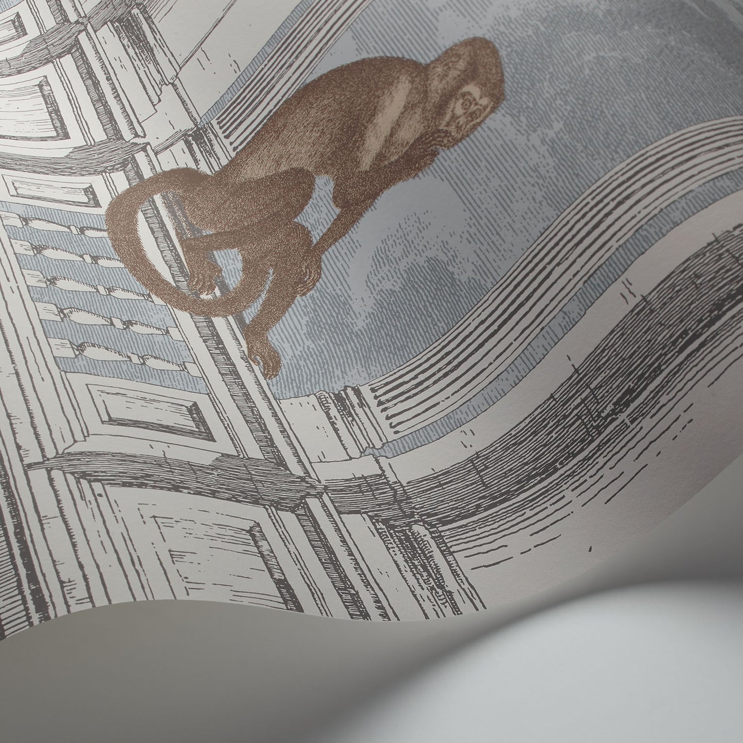 PROCURATIE CON VISTA - COLE & SON