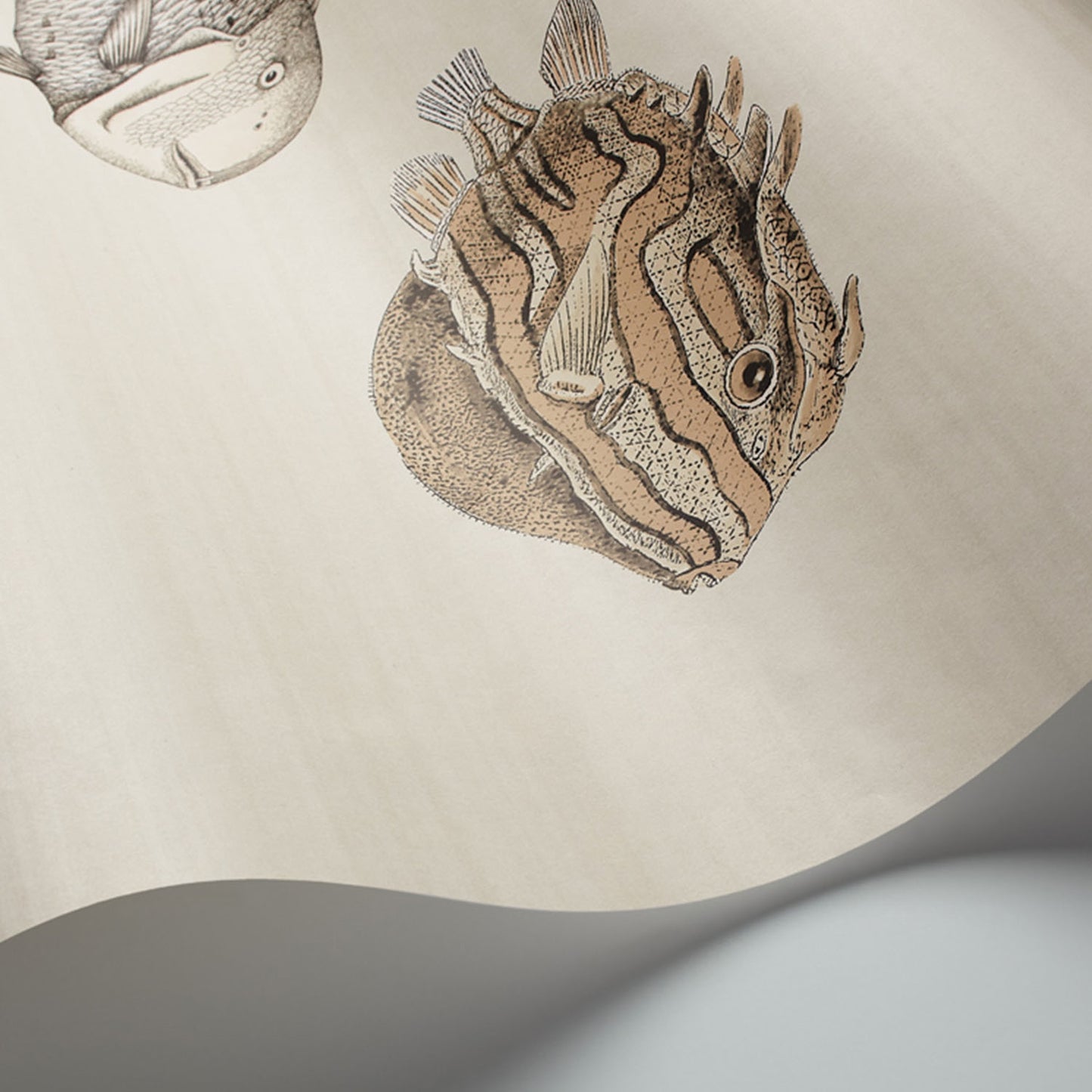 ACQUARIO - COLE & SON
