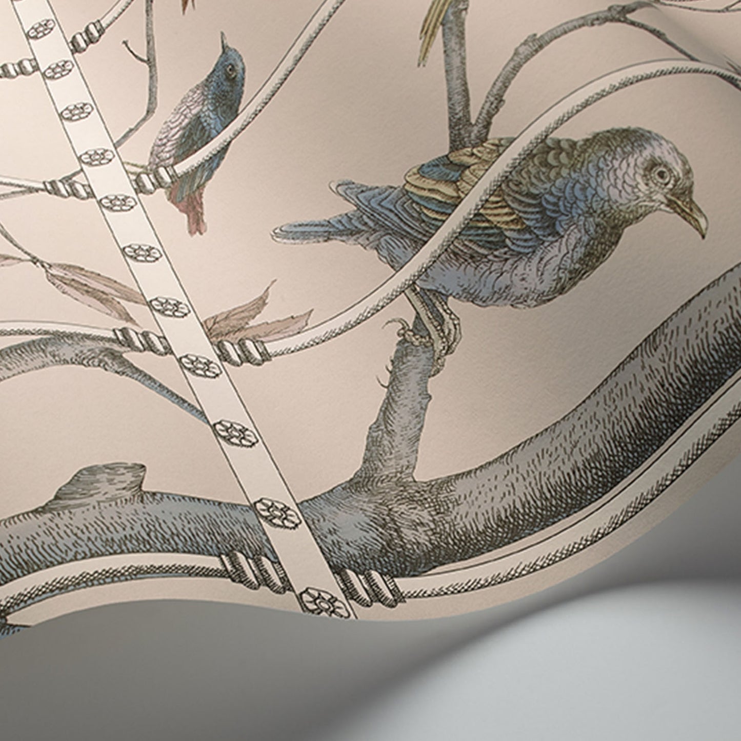 UCCELLI - COLE & SON